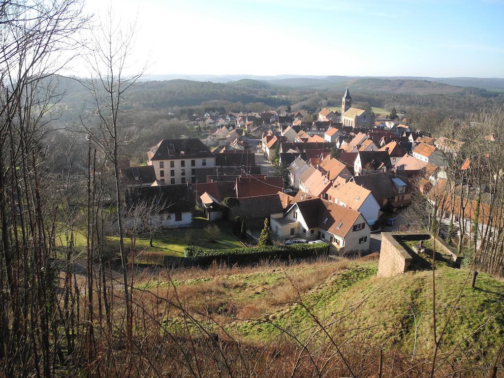 Au Pied Du Chateau Lichtenberg Camera foto
